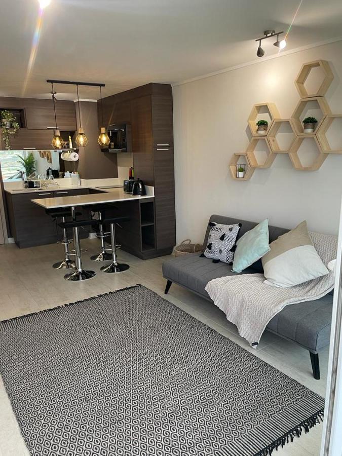 Departamento De Lujo Estacionamiento Privado Y Cocina Integral Apartment วิญาเดลมาร์ ภายนอก รูปภาพ